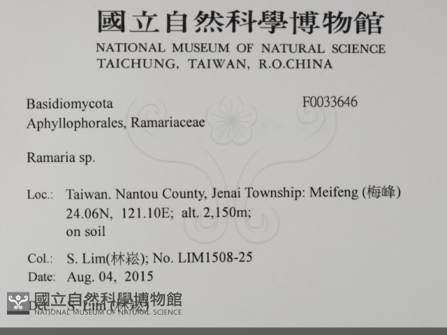 登錄號:F0033646藏品圖，第2張