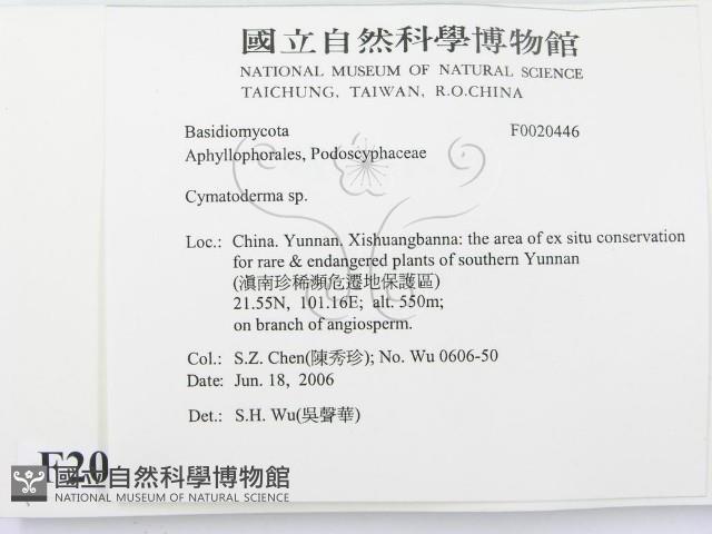 波邊革菌屬藏品圖，第2張