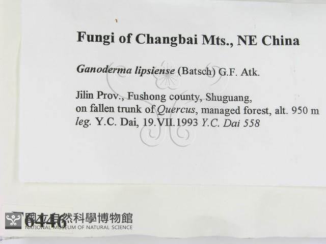 登錄號:F0006446藏品圖，第2張