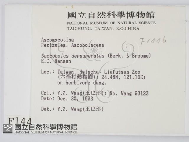 登錄號:F0001446藏品圖，第2張
