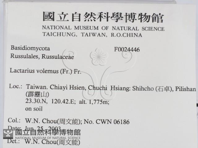 登錄號:F0024446藏品圖，第2張