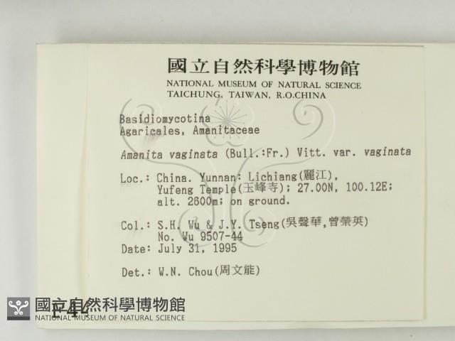 登錄號:F0004446藏品圖，第2張