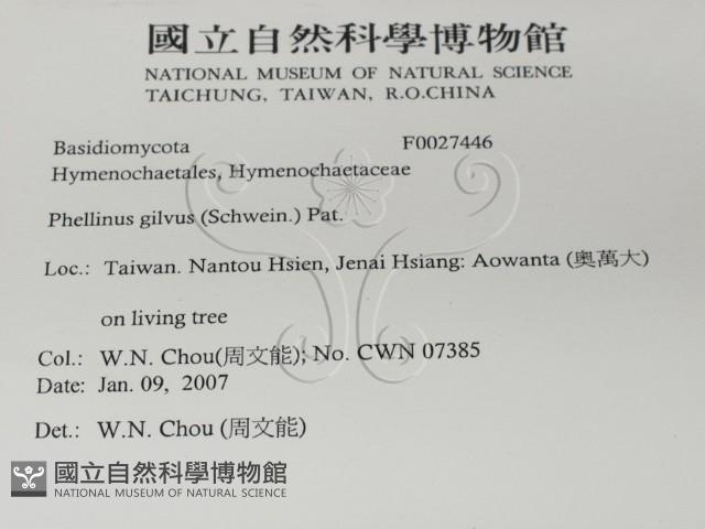 登錄號:F0027446藏品圖，第2張