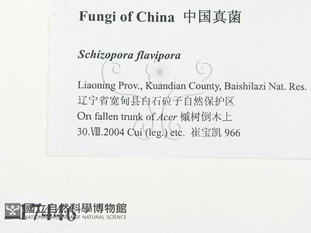 登錄號:F0017446藏品圖，第2張