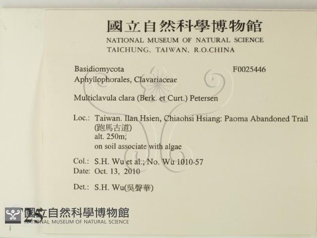 登錄號:F0025446藏品圖，第2張