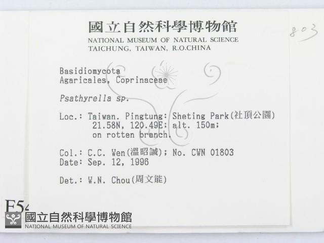 登錄號:F0005446藏品圖，第2張