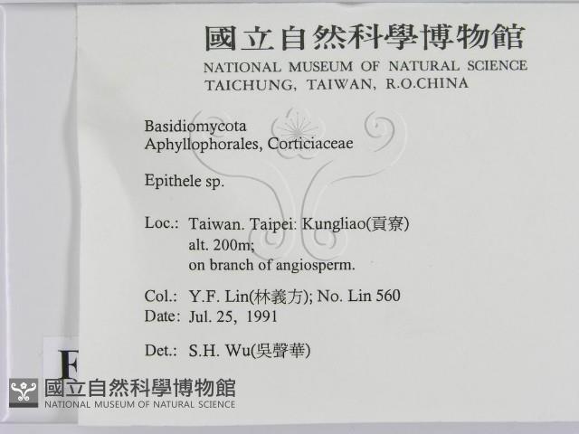 登錄號:F0015446藏品圖，第2張