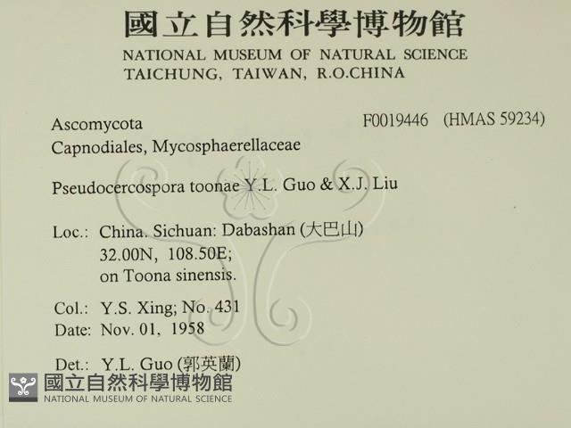 登錄號:F0019446藏品圖，第2張