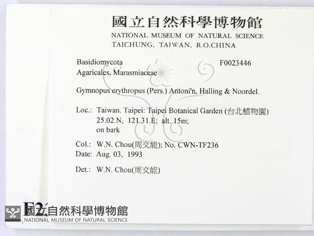 登錄號:F0023446藏品圖，第2張