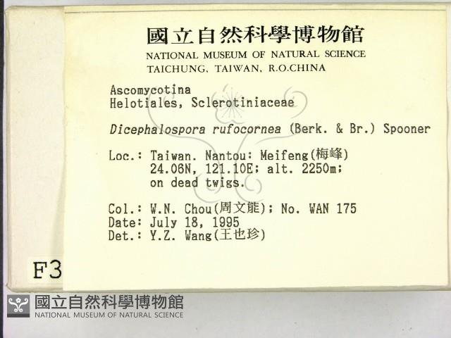 登錄號:F0003446藏品圖，第2張