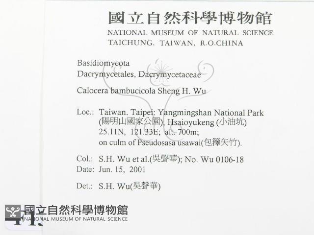 登錄號:F0013446藏品圖，第2張