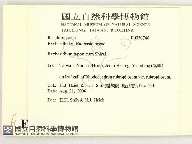 登錄號:F0020746藏品圖，第2張