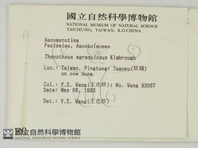 登錄號:F0000746藏品圖，第2張