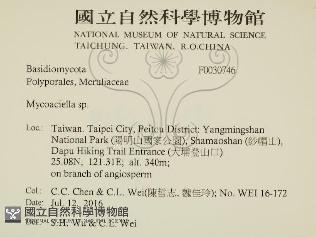 登錄號:F0030746藏品圖，第2張