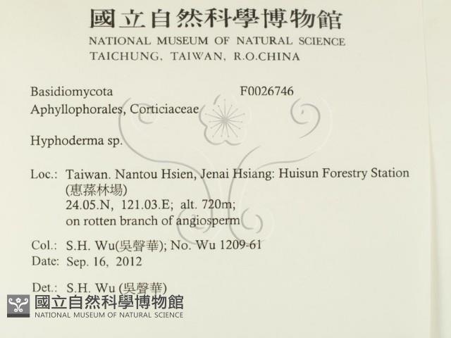 絲皮菌屬藏品圖，第2張