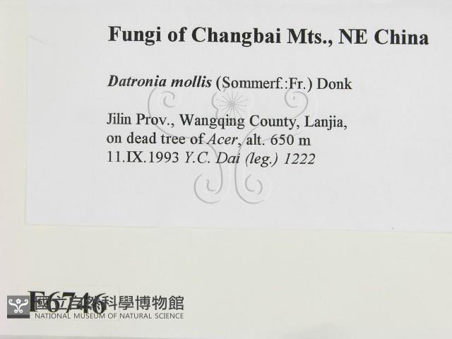 登錄號:F0006746藏品圖，第2張