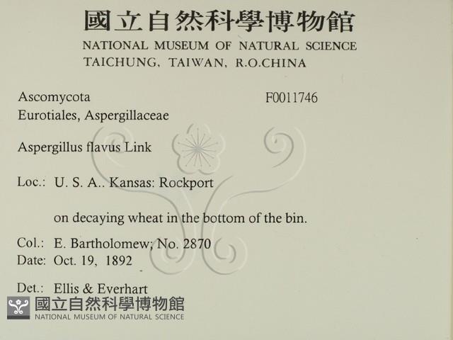 登錄號:F0011746藏品圖，第2張