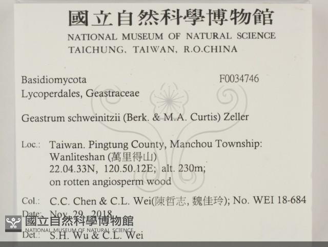 登錄號:F0034746藏品圖，第2張