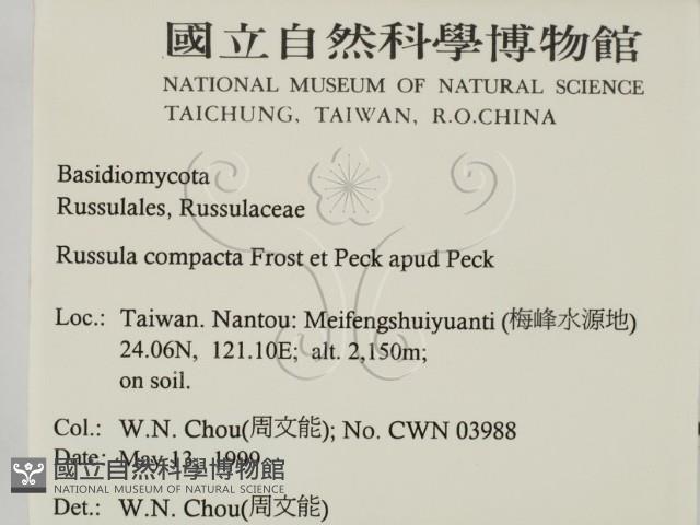 登錄號:F0012746藏品圖，第2張