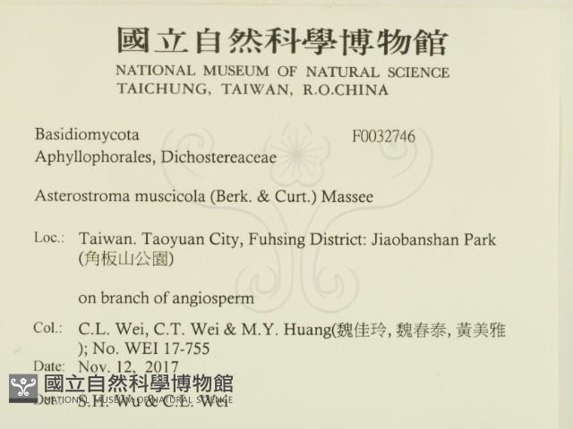 登錄號:F0032746藏品圖，第2張