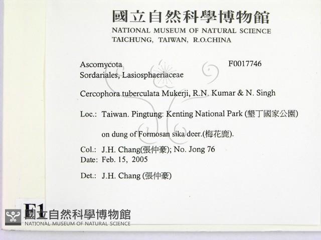 登錄號:F0017746藏品圖，第2張