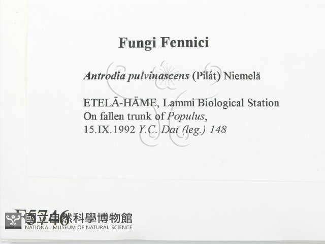 登錄號:F0005746藏品圖，第2張