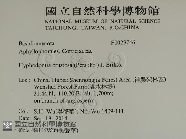 登錄號:F0029746藏品圖，第2張