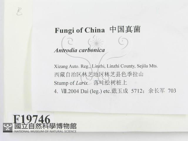 登錄號:F0019746藏品圖，第2張