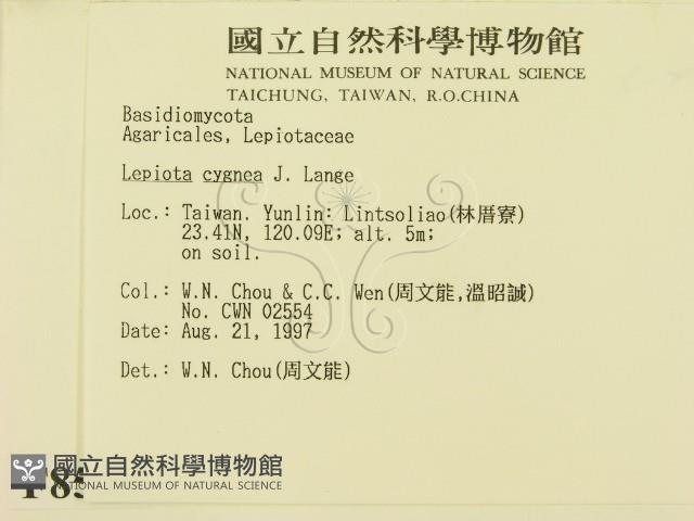 登錄號:F0008546藏品圖，第2張