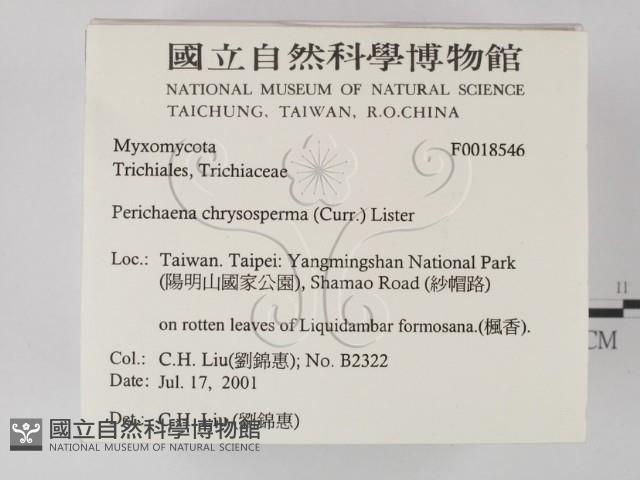 登錄號:F0018546藏品圖，第2張