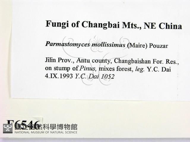 登錄號:F0006546藏品圖，第2張