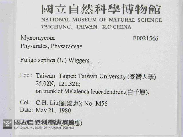 登錄號:F0021546藏品圖，第2張