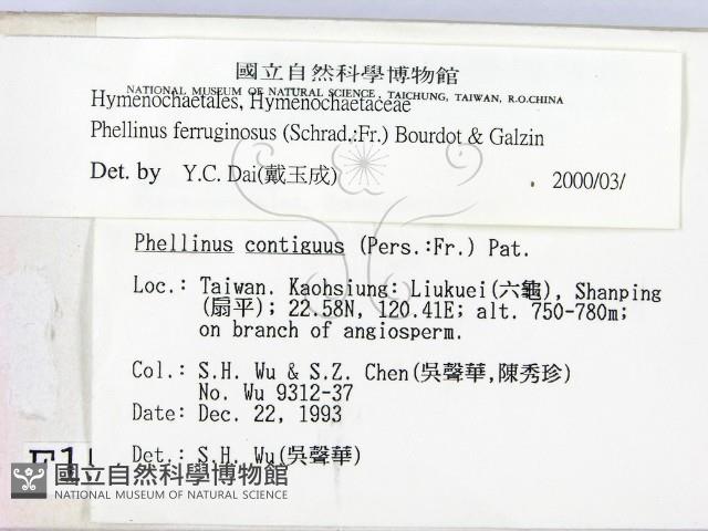 登錄號:F0001546藏品圖，第2張