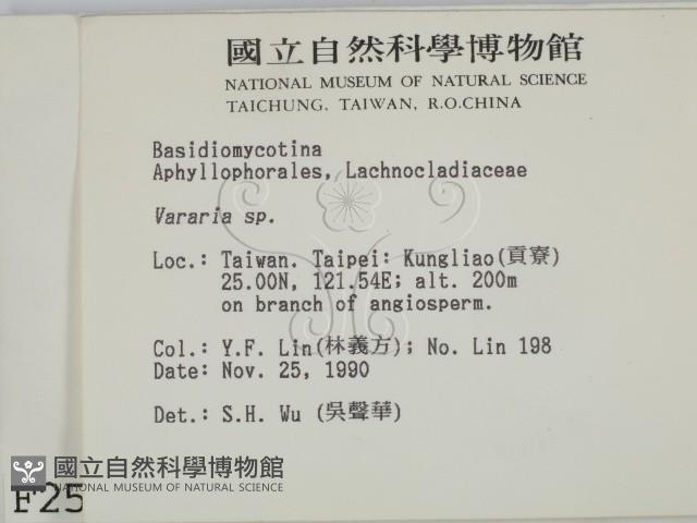 登錄號:F0002546藏品圖，第2張