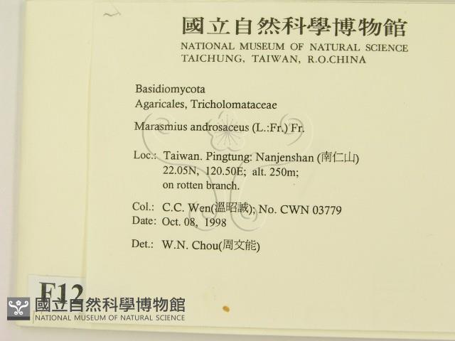 登錄號:F0012546藏品圖，第2張