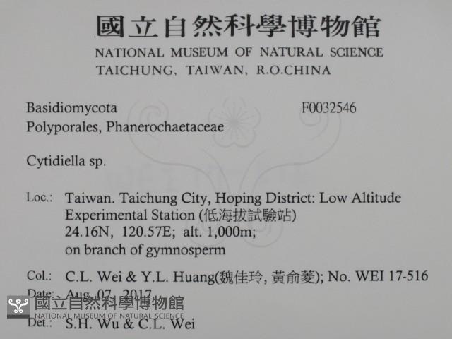 登錄號:F0032546藏品圖，第2張