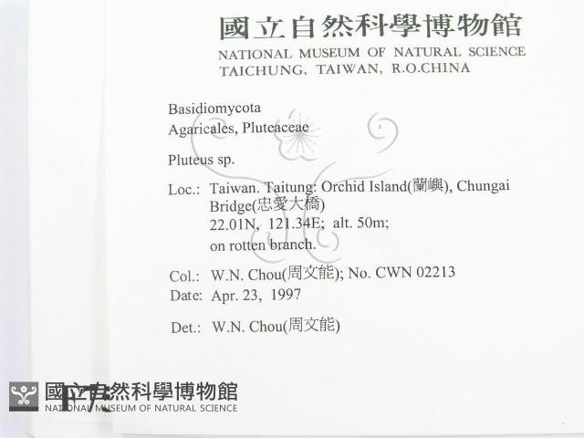 登錄號:F0007546藏品圖，第2張