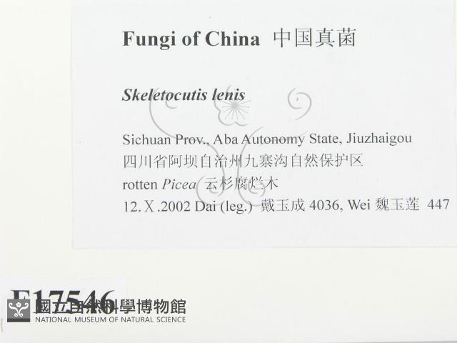登錄號:F0017546藏品圖，第2張