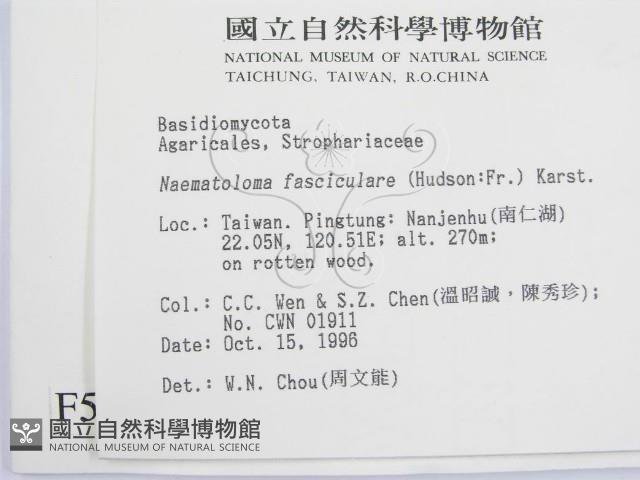 登錄號:F0005546藏品圖，第2張