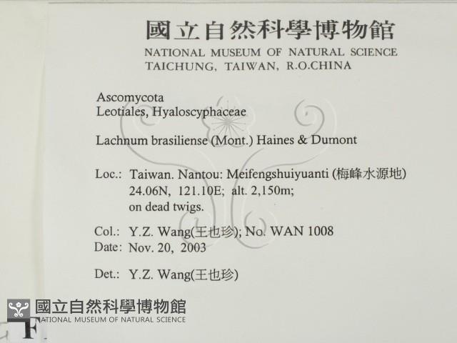 登錄號:F0015546藏品圖，第2張