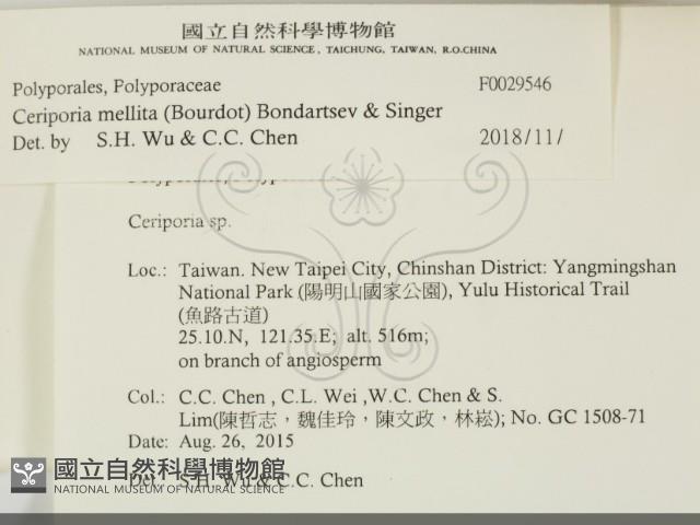 登錄號:F0029546藏品圖，第2張