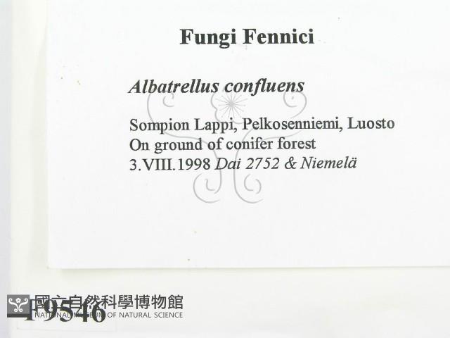 登錄號:F0009546藏品圖，第2張