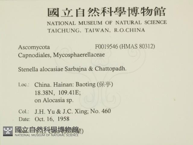 登錄號:F0019546藏品圖，第2張