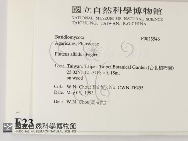 登錄號:F0023546藏品圖，第2張