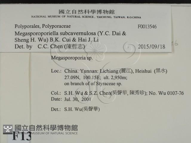 登錄號:F0013546藏品圖，第2張