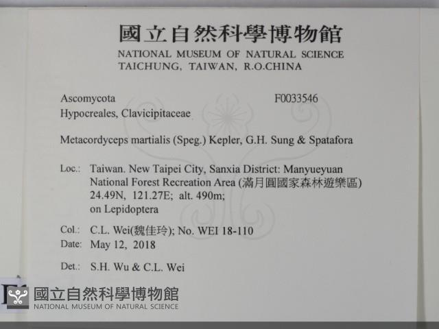 登錄號:F0033546藏品圖，第2張