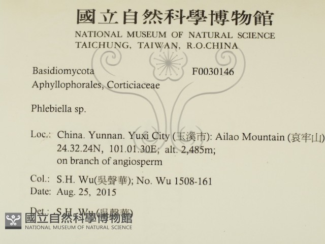 登錄號:F0030146藏品圖，第2張