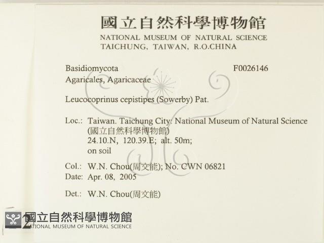 登錄號:F0026146藏品圖，第2張