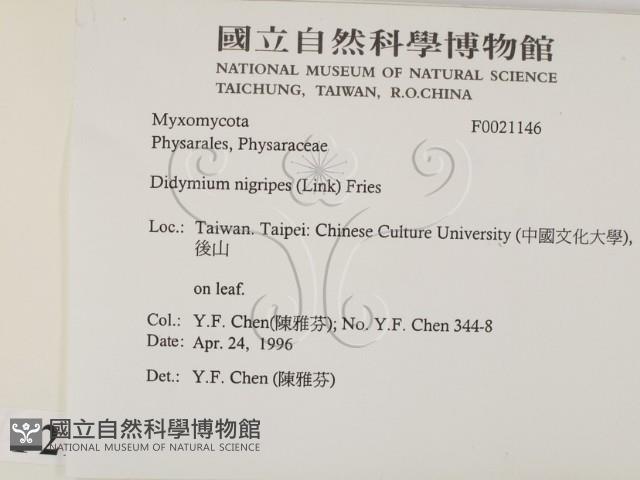 登錄號:F0021146藏品圖，第2張