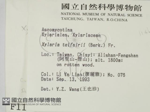 登錄號:F0001146藏品圖，第2張